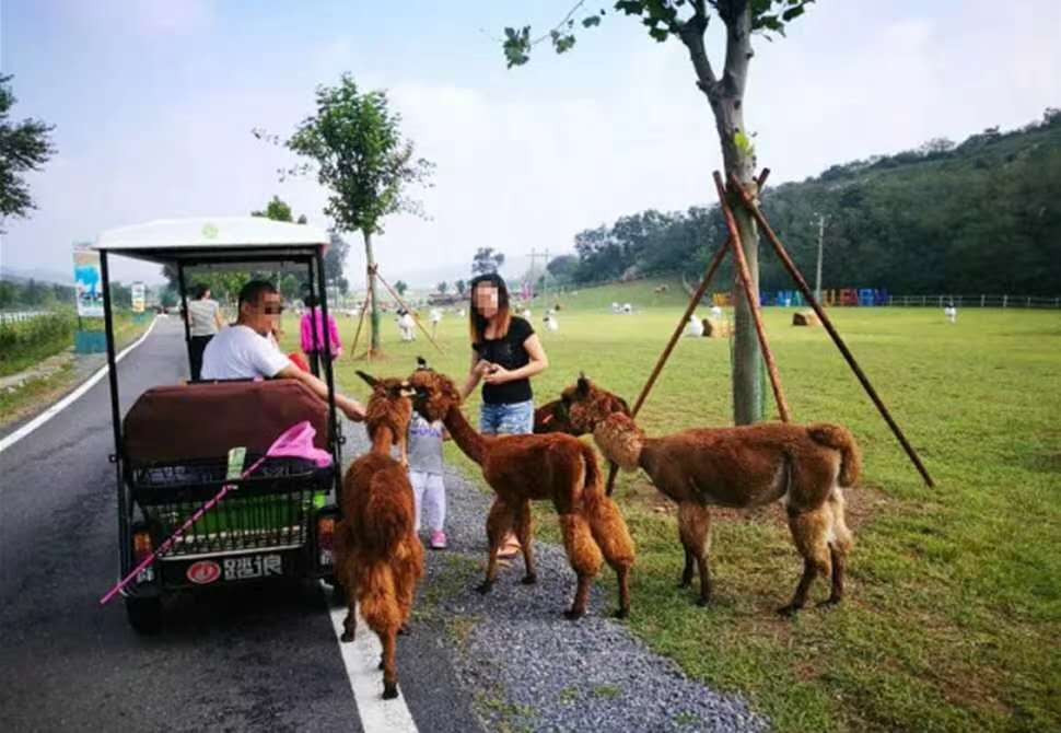 大连_铭湖温泉 铭湖牧场